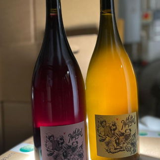 Pure wine natural wines