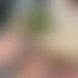 Drinks with a view in Athens