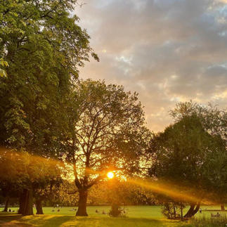 Sunset in Clissold Park