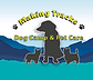 logo.png