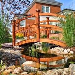 Wooden Bridge.jpeg