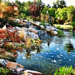Stroobants Large Pond.jpeg