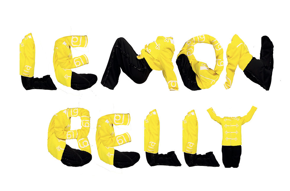 Editorial photography and digital design done for Lemon Belly, a chain of stores specialising in vintage theatre costumes for the public. Known for their whimsy, the visuals captured the brand's colours and spirit