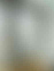 Rock Maintenance - Schuco AWS114 TipTronic-03