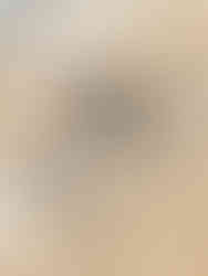 Rock Maintenance - Schuco AWS114 TipTronic-06