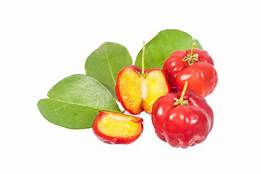 Acerola
