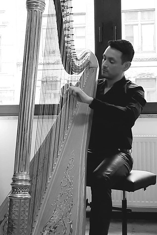 Ivan Gomez Cervantes, Harfe,Harfenunterricht, Musikschule Cluster