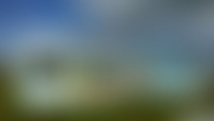 College Updates: Week 6 - Term 3