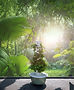 main image.jpg