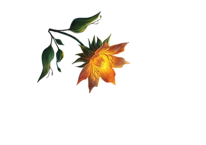 6.png