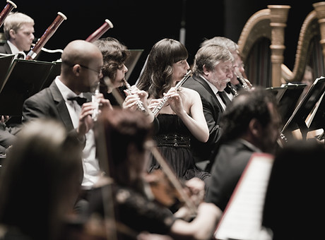 Orchestra