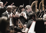 Orchestra