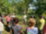 Homestead Series: Wake the Farm Up! Plant Walk & Podcast Party