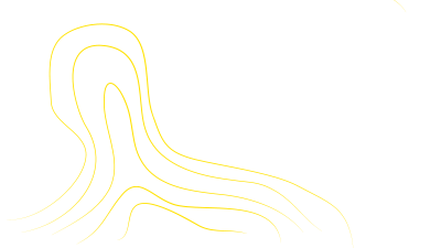 lineas.png
