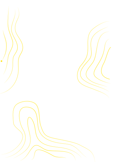 lineas.png