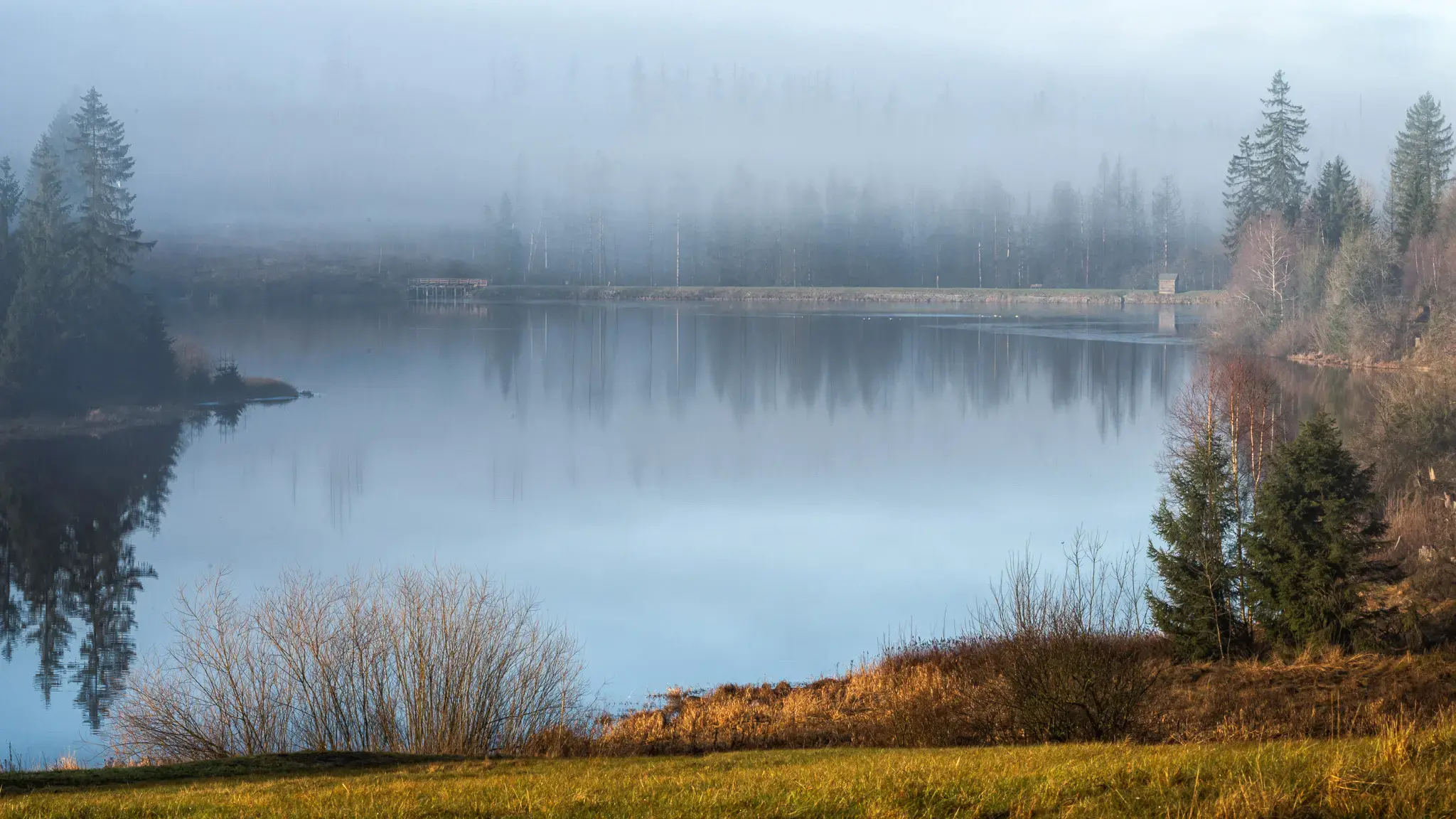 Morgensonne durchbricht Nebel über dem Prinzenteich im Harz – Baumspiegelungen auf ruhiger Wasseroberfläche.