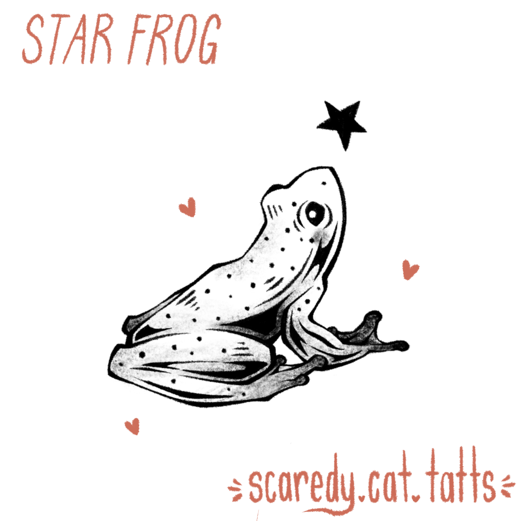 Star Frog