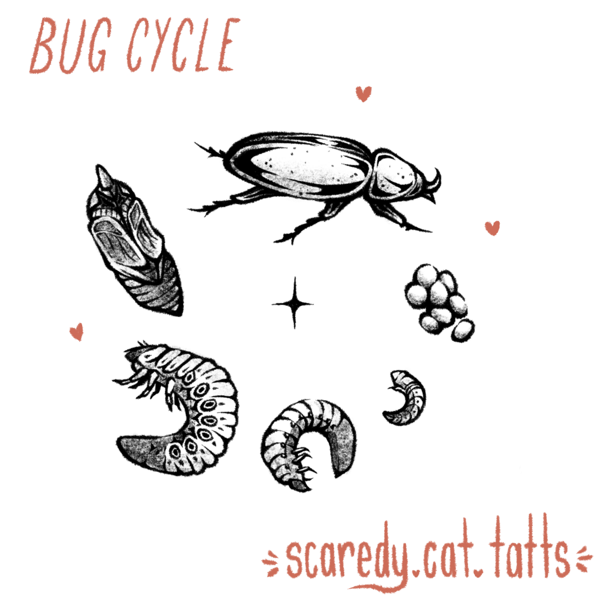 Bug Cycle