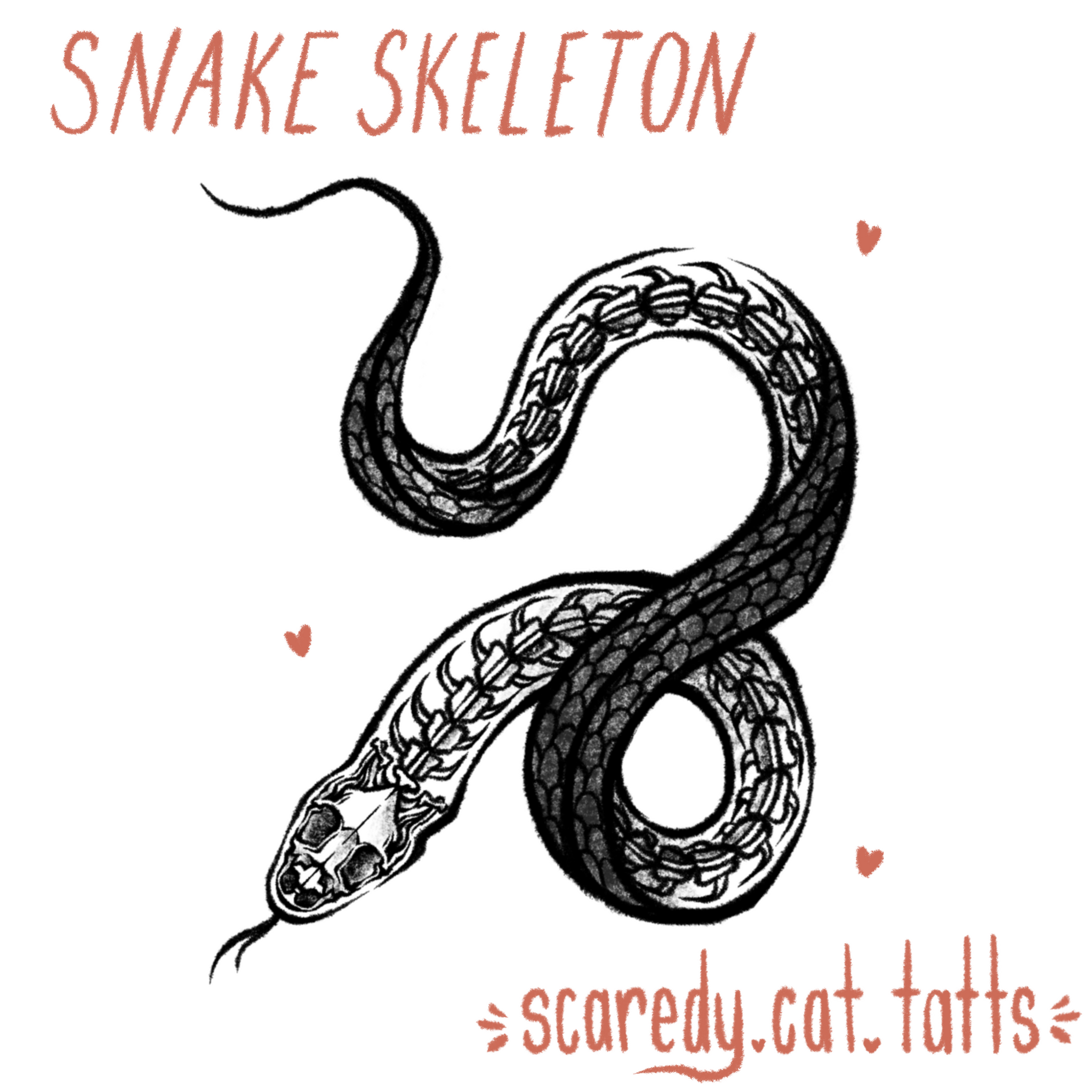 Snake Skeleton