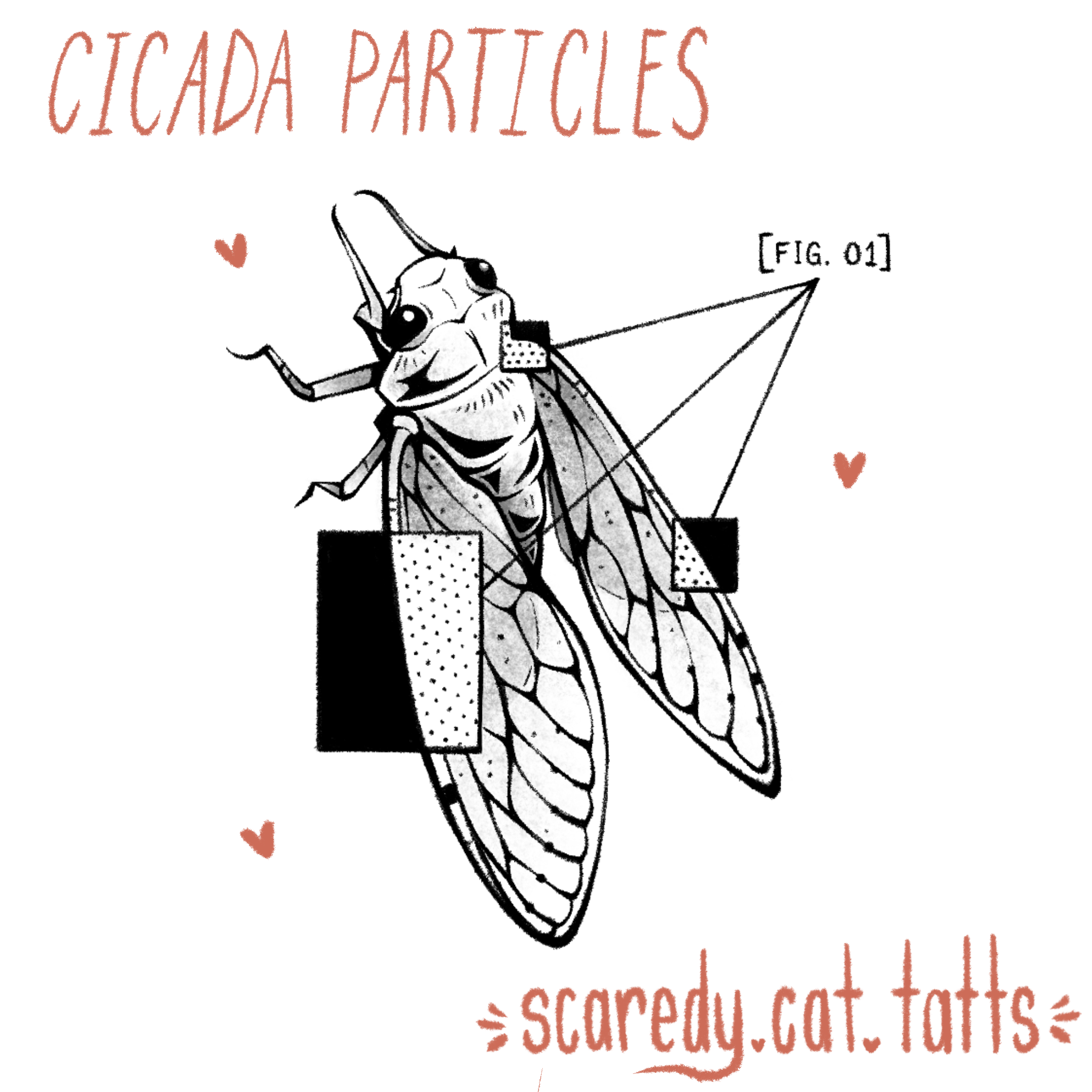 Cicada Particles