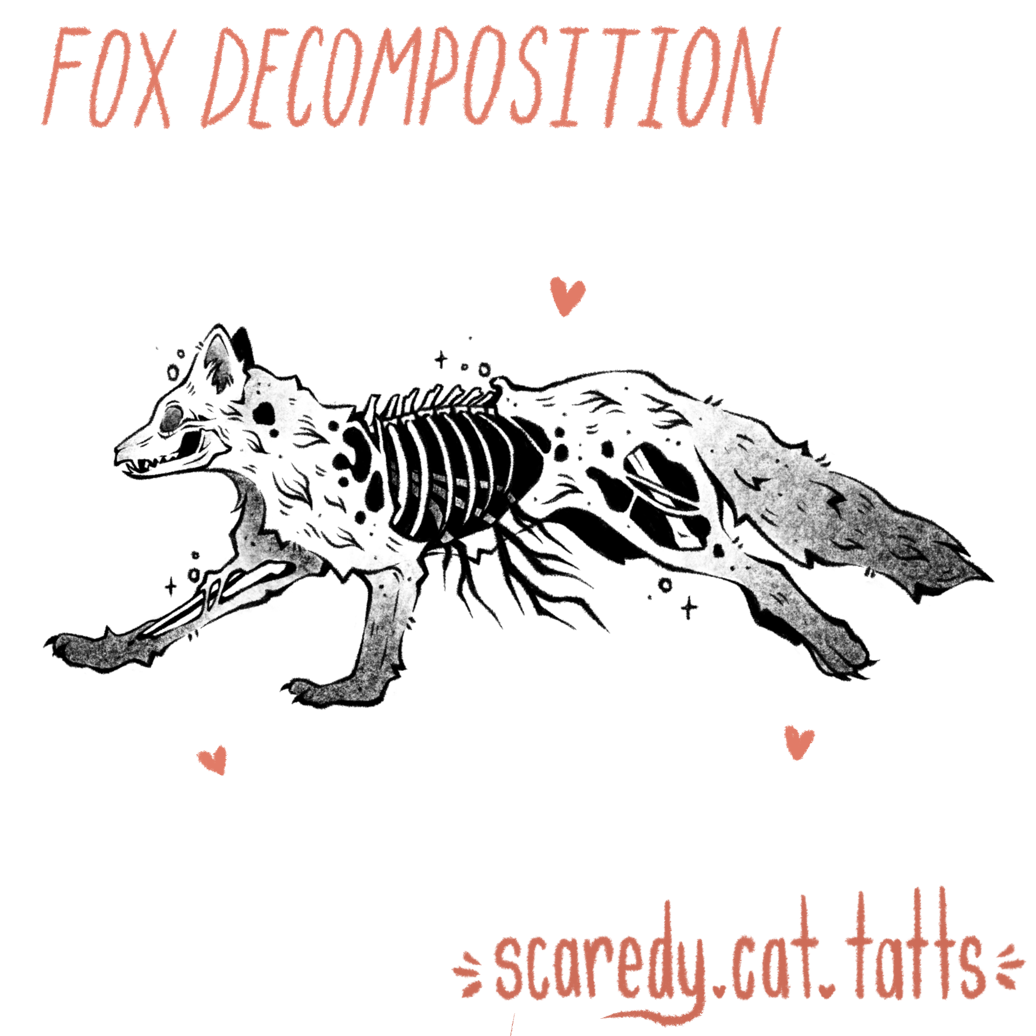 Fox Decomposition