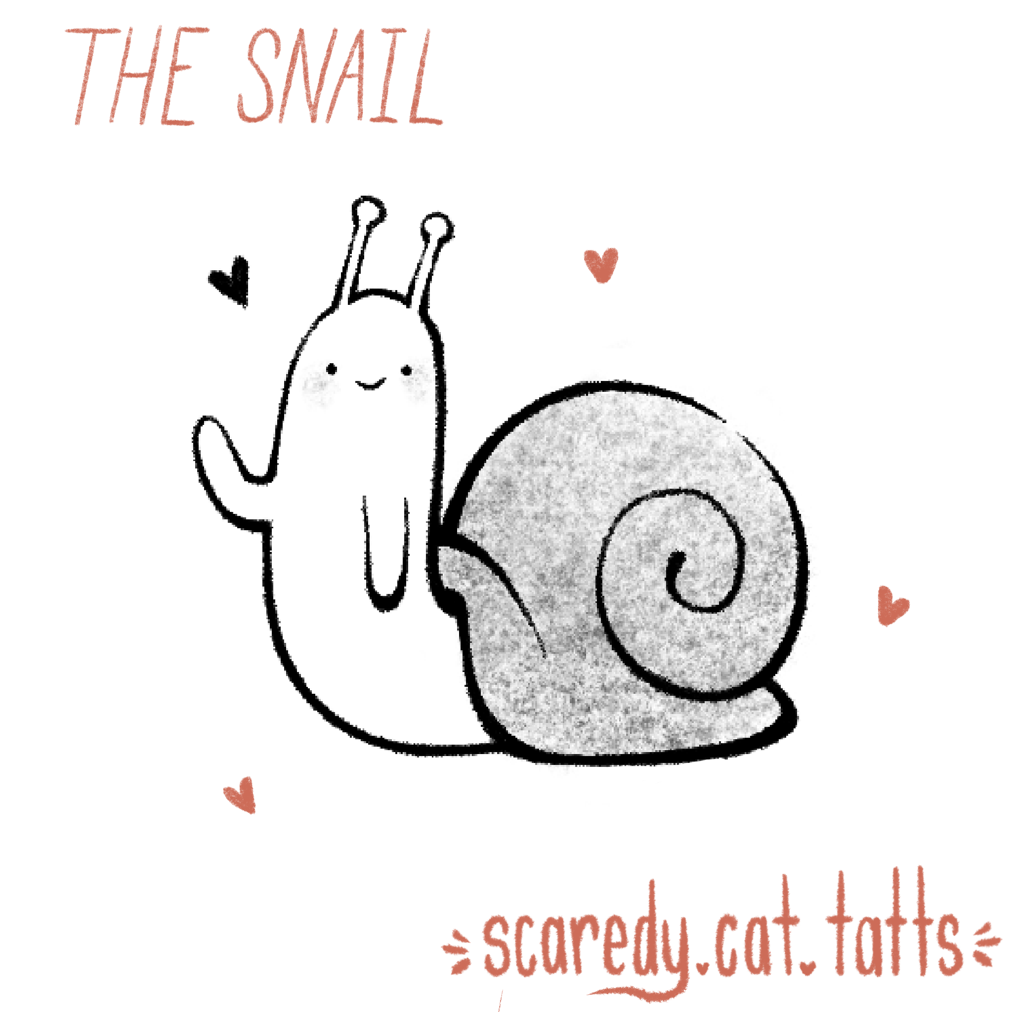 The Snail