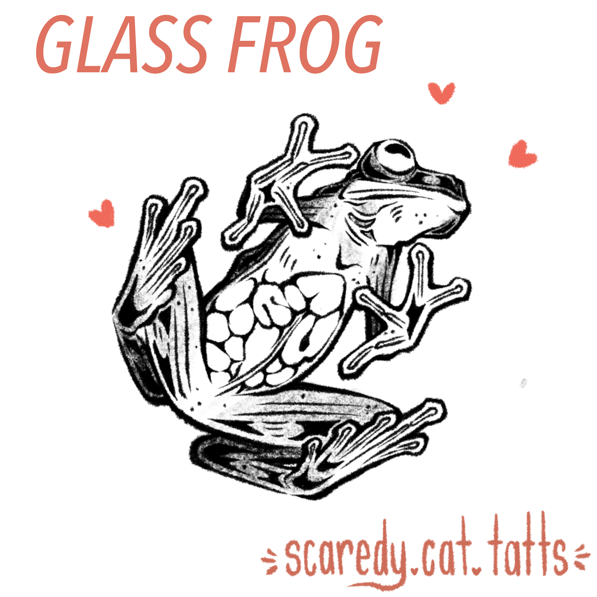 Glass Frog
