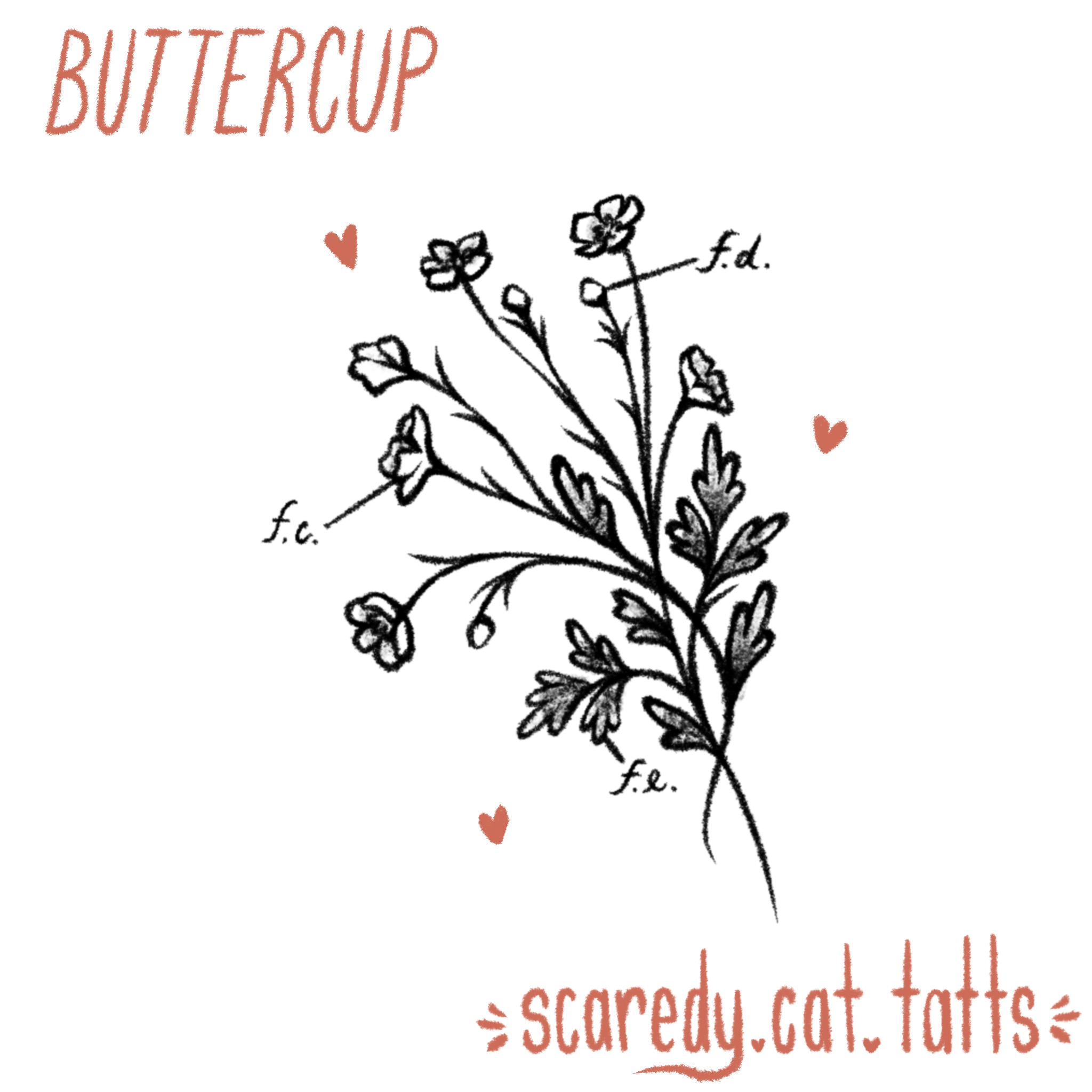 Buttercup