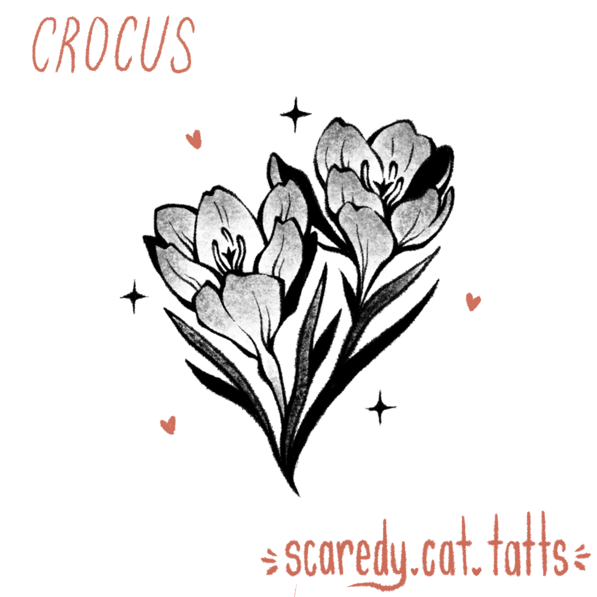 Crocus