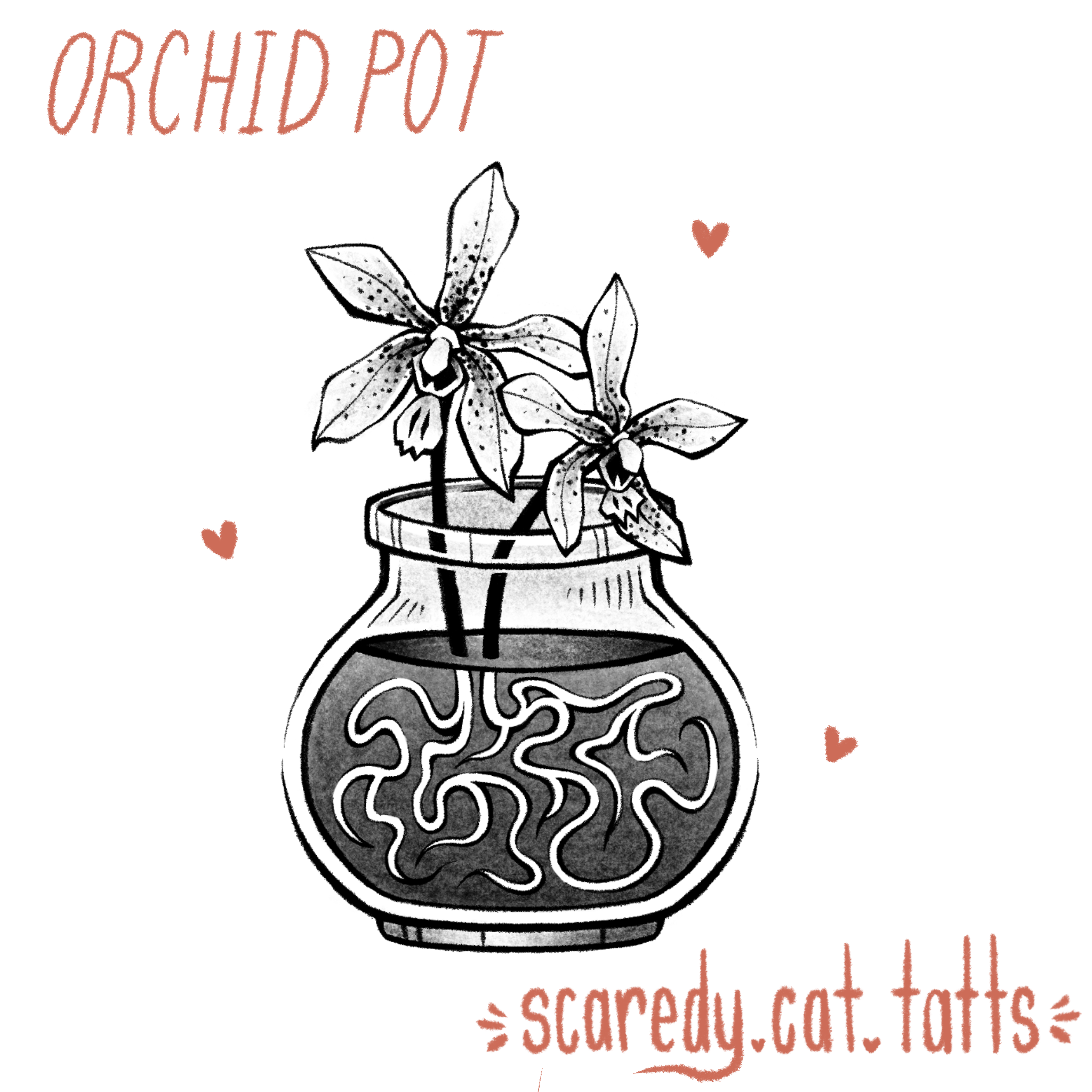 Orchid Pot