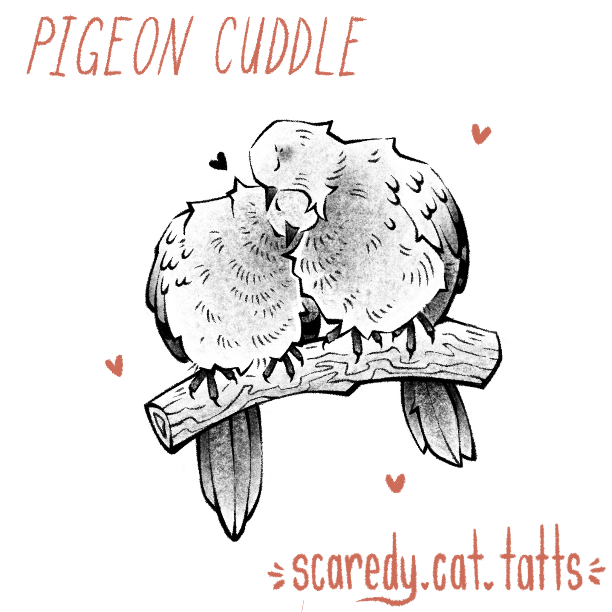 Pigeon Cuddle