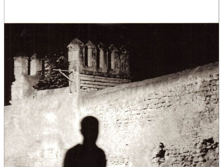 L'étranger - Albert Camus