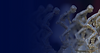 PS Images (5).png
