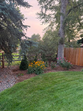 Landscaped garden with yellow flowers and lush lawn.