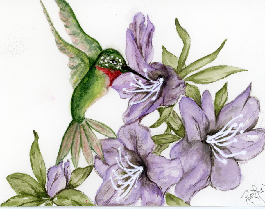 Hummingbird feeding on purple flowers, watercolor art