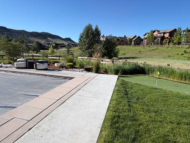 Concrete walkway and landscaping in a residential area