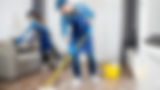 Cleaning professionals cleaning home