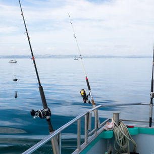 A Lady Angler’s Guide to Dana Point’s Best Seasonal Charters