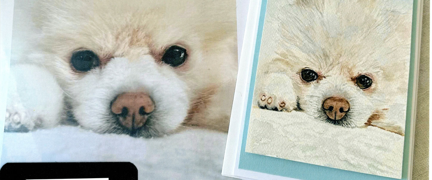 Custom pet portrait: Pomeranian greeting card
