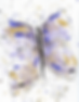 Watercolor painting of a purple and gold butterfly