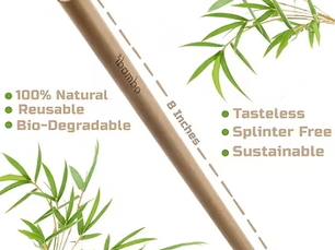 10 Reasons Why Bamboo Reusable Straws are Better Than Plastic Straws