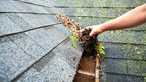 gutter cleaning-02.png