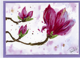 Vibrant pink magnolia blossoms watercolor painting