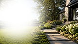 Lush garden walkway with stone steps and hydrangeas