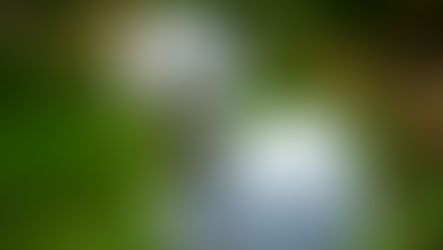 This might be the weirdest science story you'll read this year.