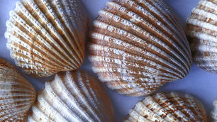 Greatness Has to Start Somewhere...