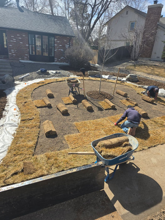 Workers installing new sod for a backyard landscaping project.