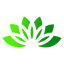 Writer: Green Essence LLC