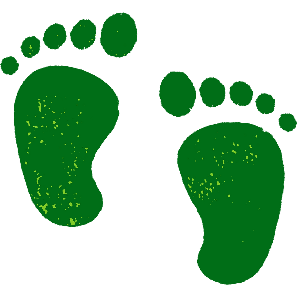 Green footprints, eco-friendly steps