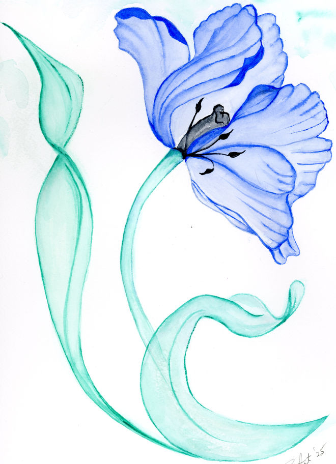 Watercolor painting of a blue tulip